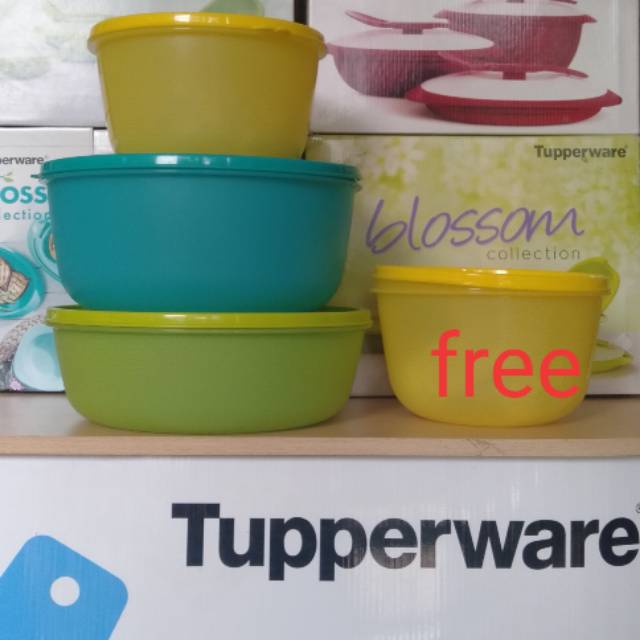 Jual Tupperware modular bowl set 3,harga normal 500 diskon 50% jdi 250 ...