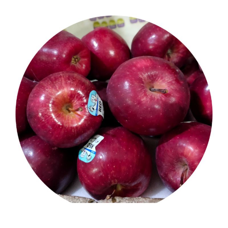 Jual Apel merah import | Shopee Indonesia