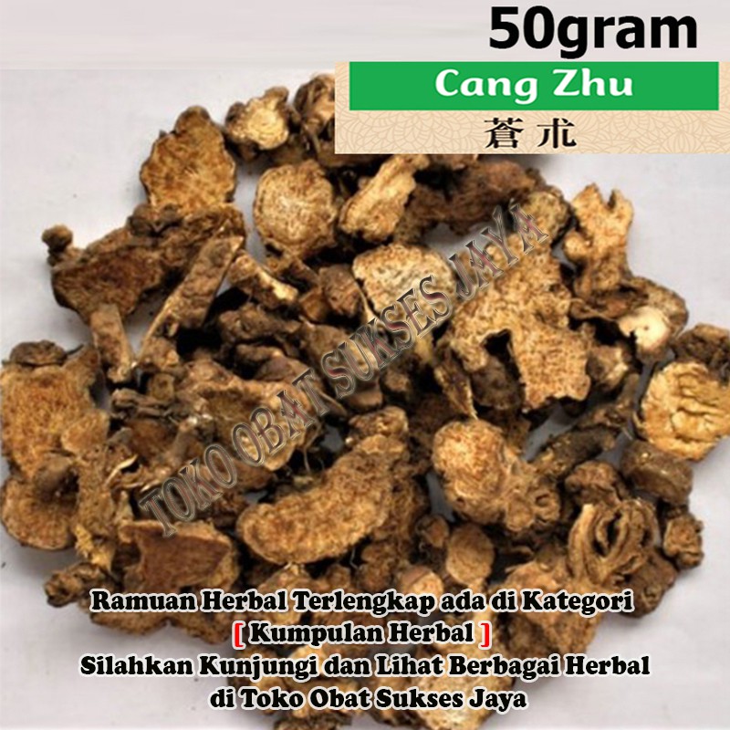 [50gram - Grade A]  Cang Zhu - Rhizoma Atractylodis