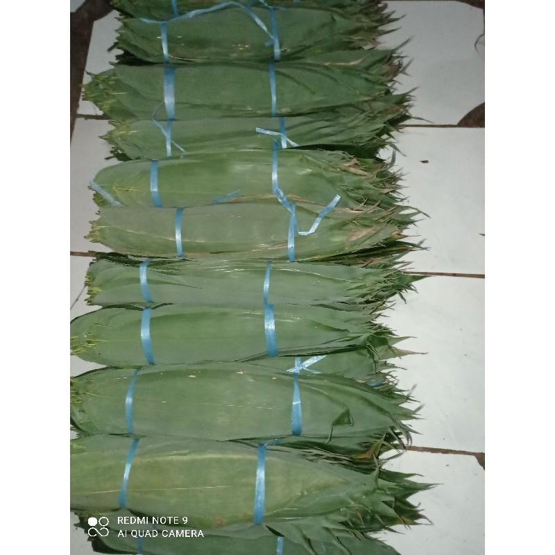 Jual Daun Bambu Jumbo Segar Daun Bakcang Daun Kicang Shopee Indonesia