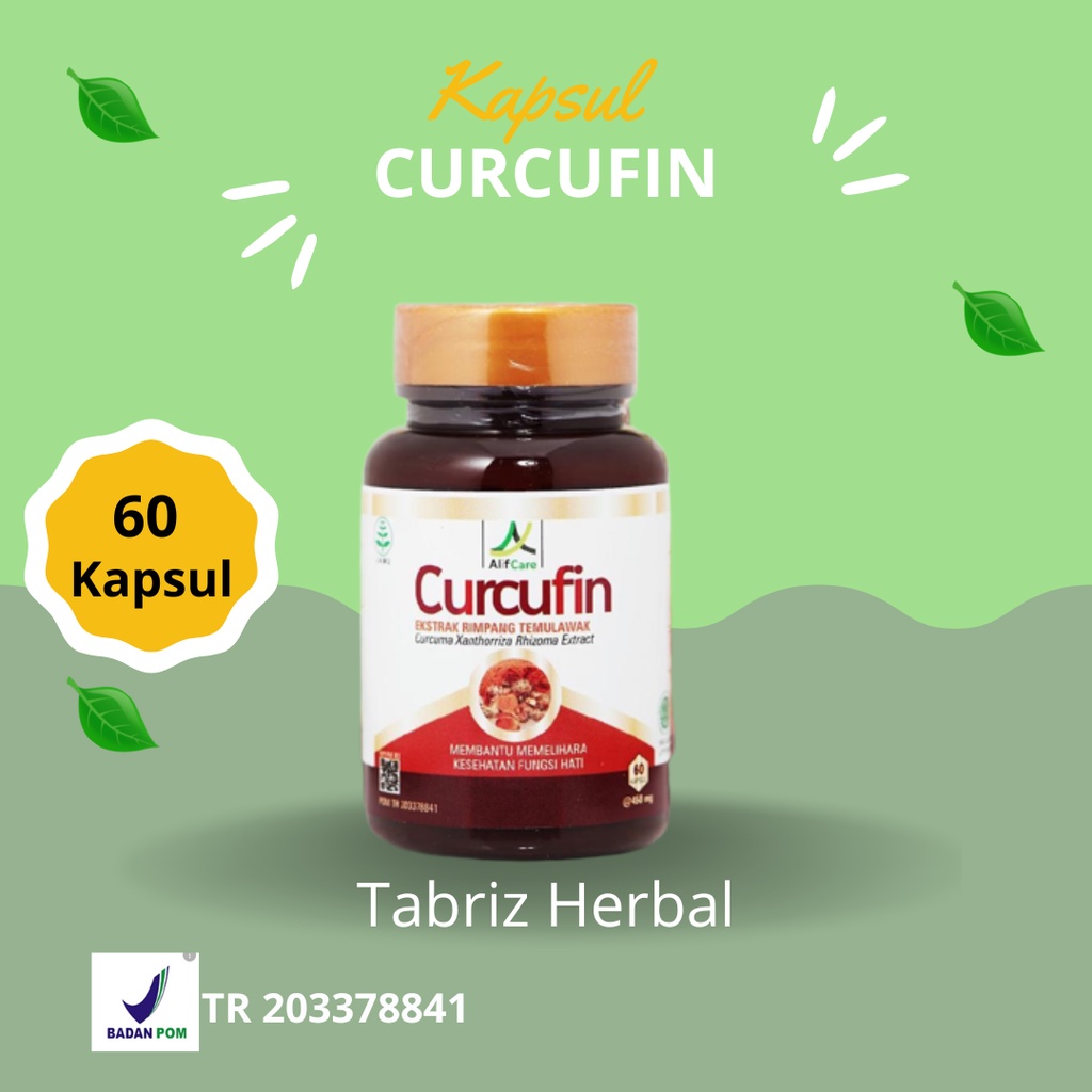 Jual Kapsul CURCUFIN Ekstrak Rimpang Temulawak Obat Liver/Fungsi Hati ...