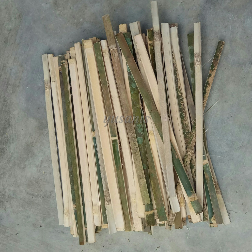 Jual Batang Bilah Bambu Turus Penyangga Tanaman Media Rambat Panjang 20 ...