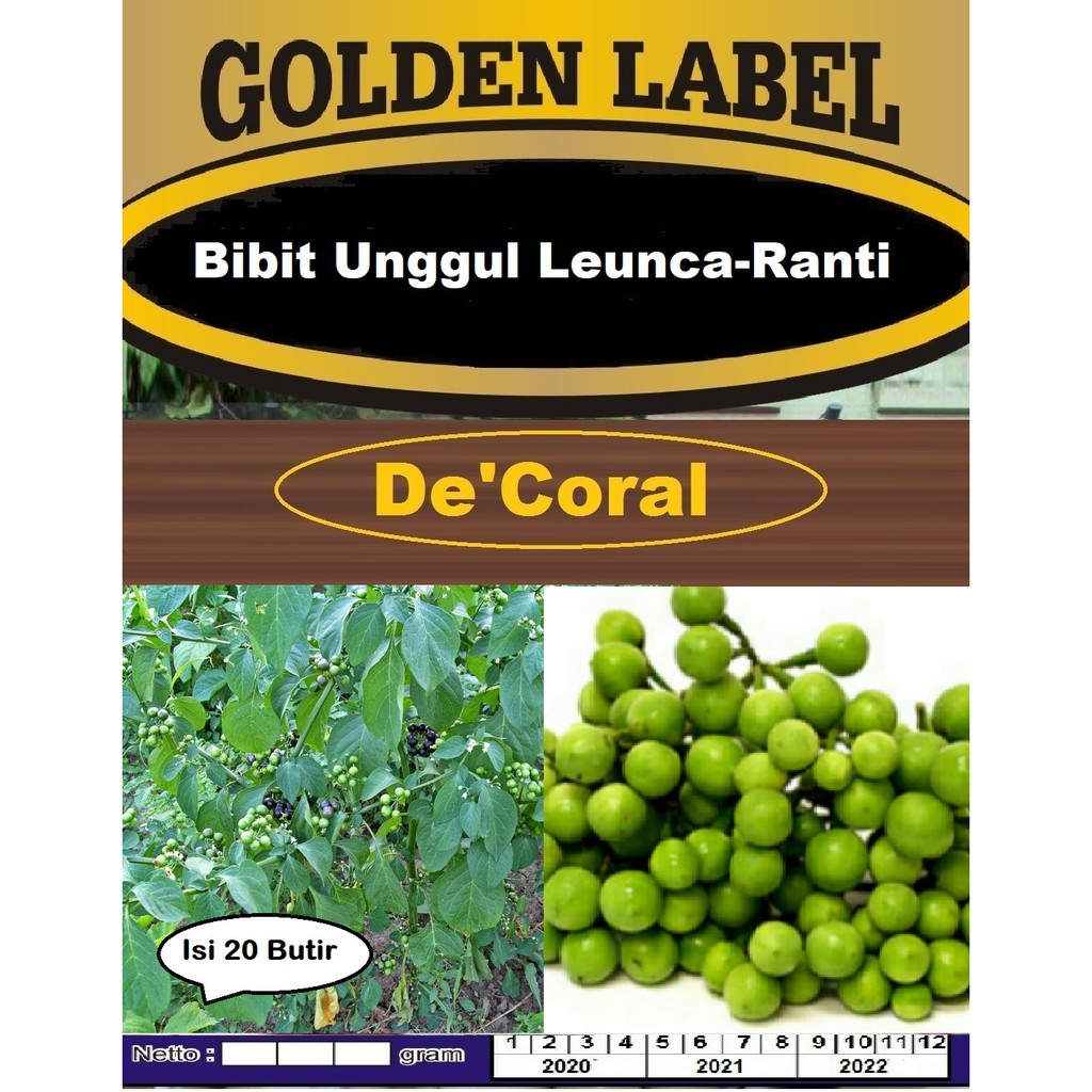 Jual Bibit Unggul Leunca Ranti| Biji Benih Leunca | Benih Ranti ...