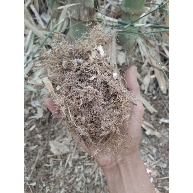 Humus Akar Bambu Media Tanam 500gram