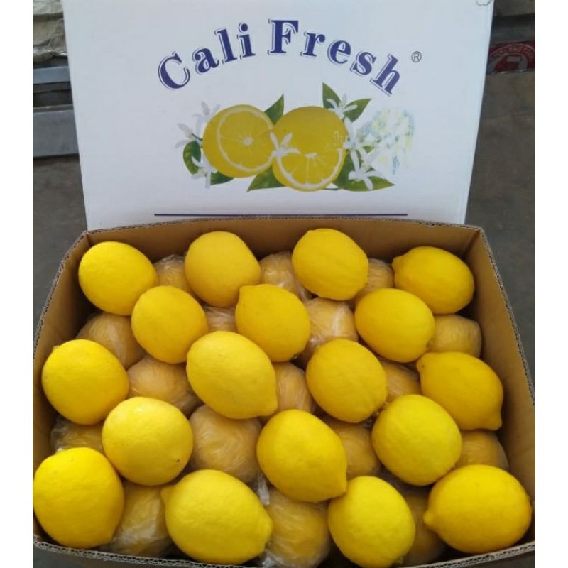 Jual Lemon Califresh RRC 1kg | Shopee Indonesia