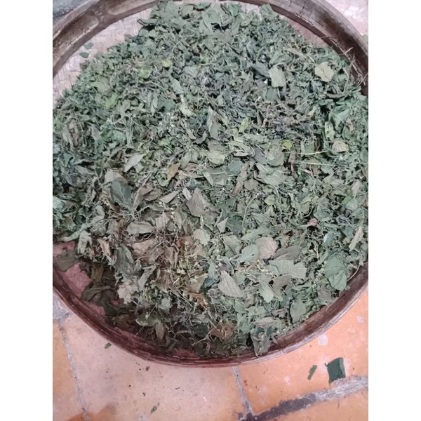 Jual Acalypha Indica L Herbal Daun Anting Kering Asli Rumput Antingan ...