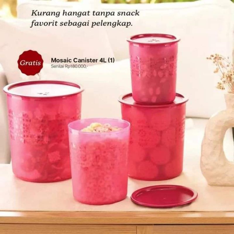 Jual TUPPERWARE MOSAIC CANISTER SET RAYA | Shopee Indonesia