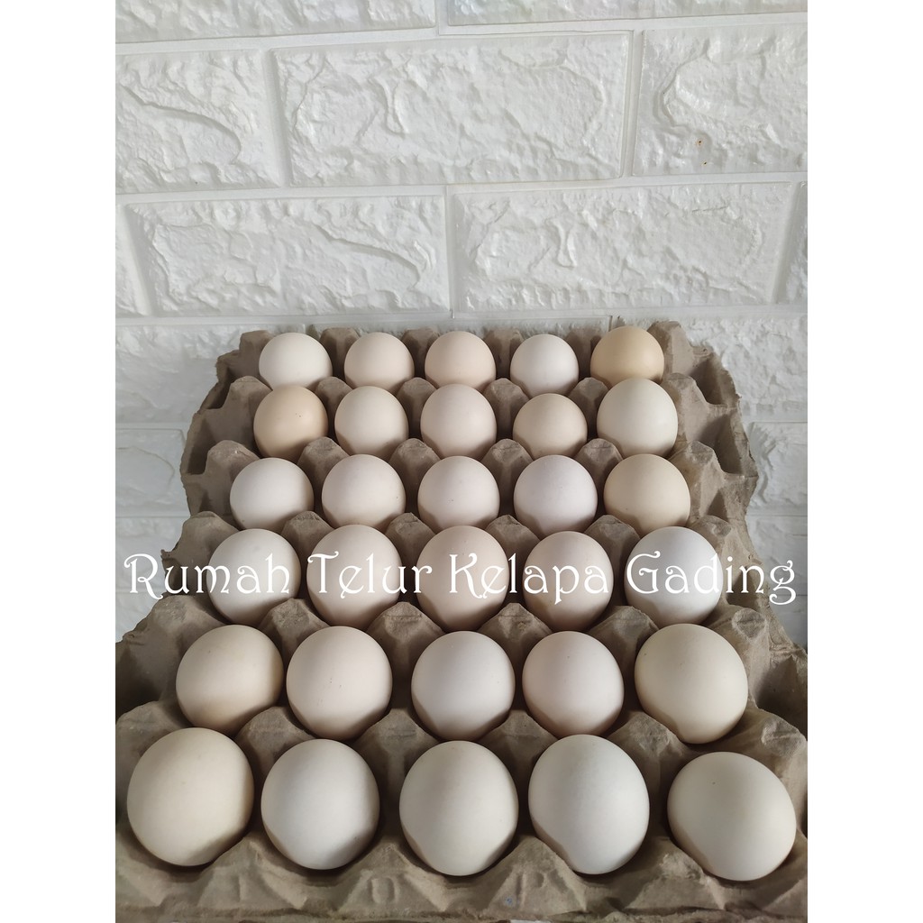 Jual Telur Ayam Kampung Kuning 30 Butir 1 Papan Shopee Indonesia 5387