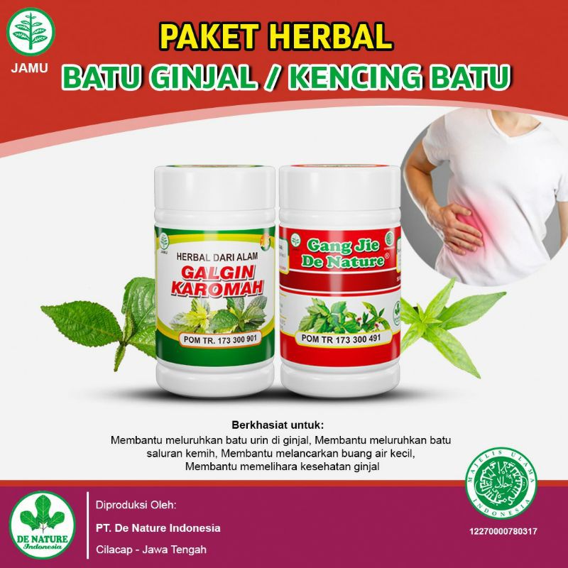 Jual Galgin Karomah dan Gang Jie - 100% Asli De Nature Indonesia ...