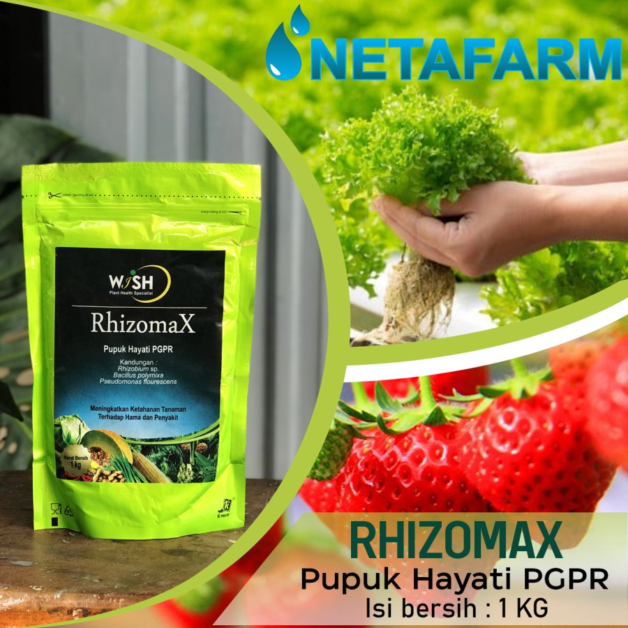Jual Pupuk Organik Hayati PGPR Rhizobium RHIZOMAX WISH - 1 KG | Shopee ...