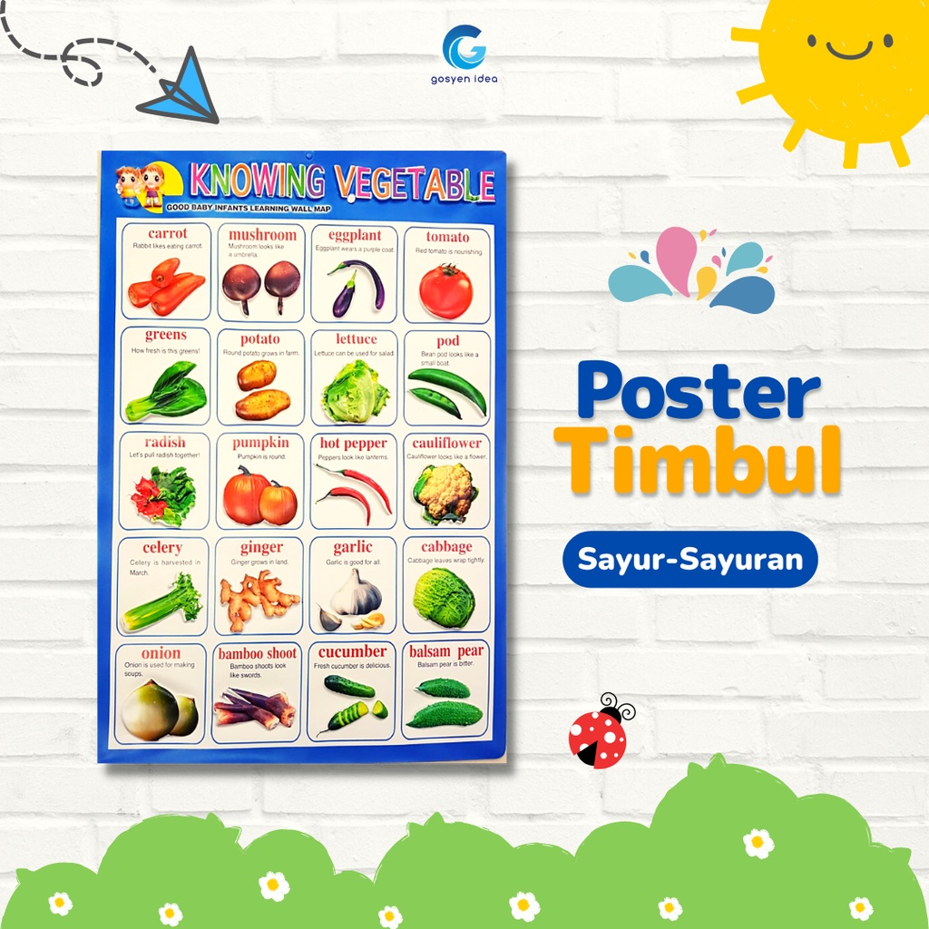 Jual Poster Timbul Edukasi Anak Belajar Sayur Sayuran | Shopee Indonesia