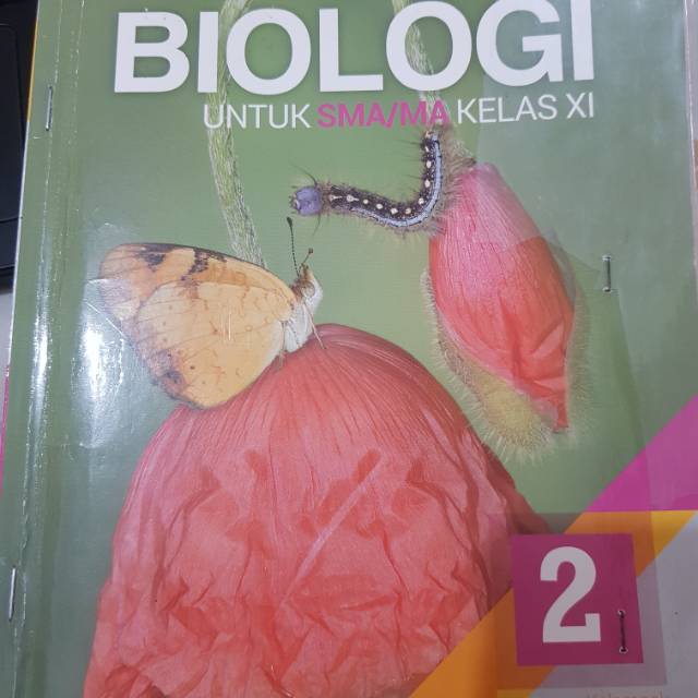 Jual Biologi Untuk Kelas SMA XI Atau 2 SMA (Erlangga) | Shopee Indonesia