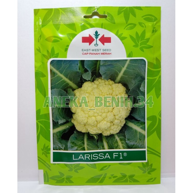 Jual Benih Bunga Kembang Kol Larissa F1 Sp 250 Butir ~ Cap Panah Merah