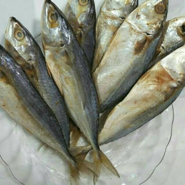 Jual Ikan Asin Peda Putih Gr Shopee Indonesia