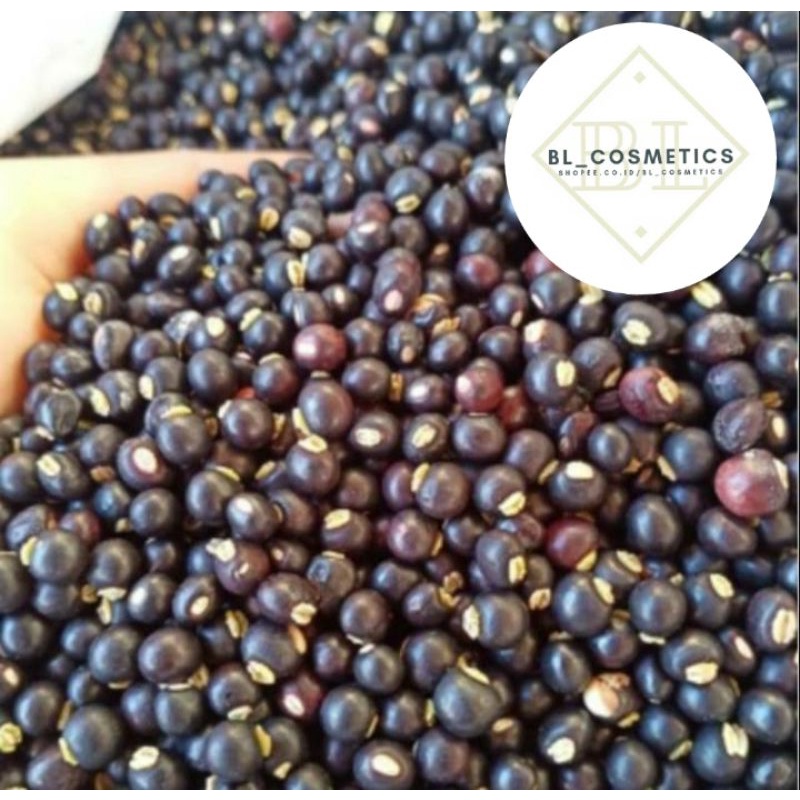 Jual Undis kering khas bali / KACANG GUDE bali 1kg | Shopee Indonesia