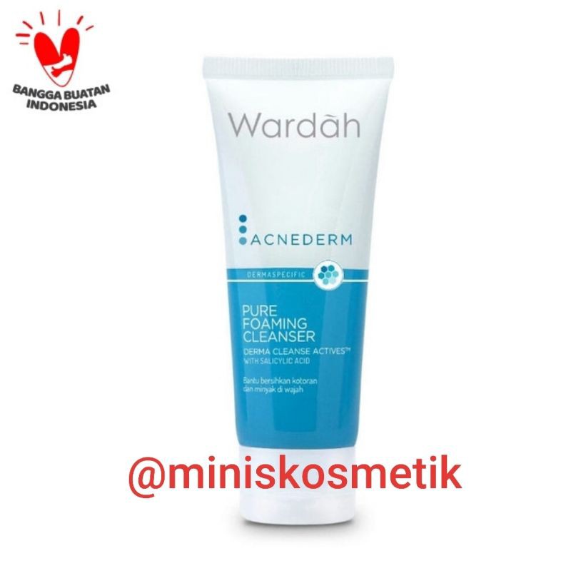 Wardah Acnederm Pure Foaming Cleanser 60 ml main image 1