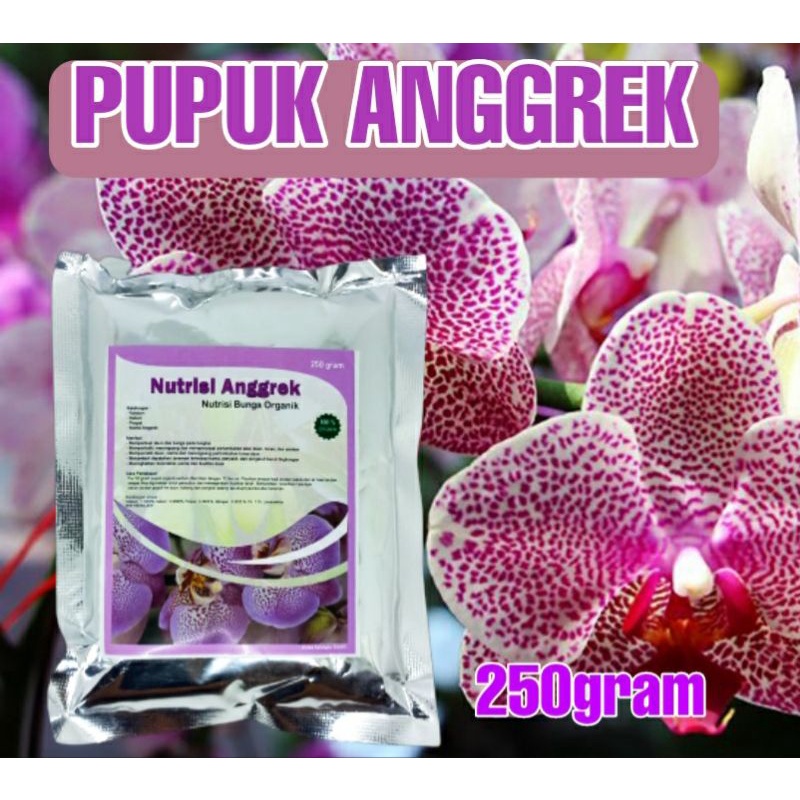 nutrisi anggrek