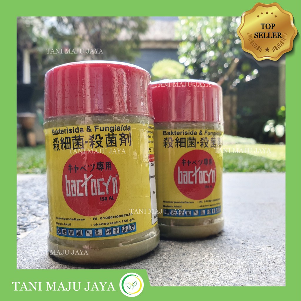 Jual Bakterisida + Fungisida Bactocyn 100 ml Obat Jamur Bakteri Layu ...