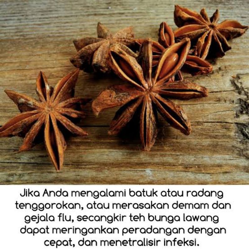 Jual Teh Bunga Lawang/Pekak Organic 20Gram | Shopee Indonesia