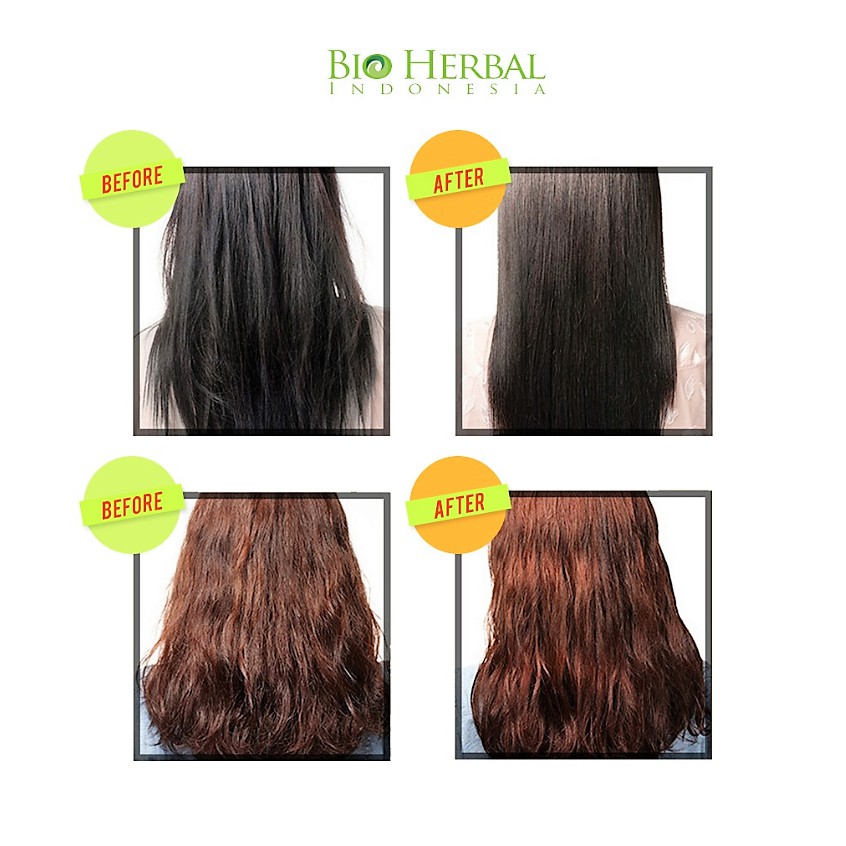 Jual SHAMPO KUDA PENYUBUR RAMBUT PENUMBUH RAMBUT PENGUAT RAMBUT ...