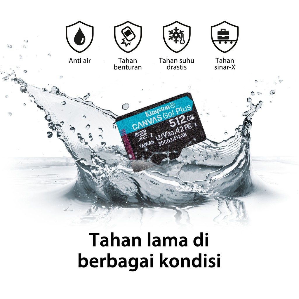Kingston Canvas Go! Plus Class 10 microSD Card 256GB (SDCG4/256GBSP) (8)