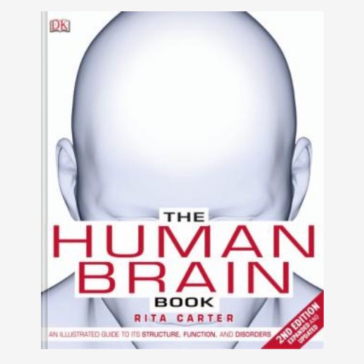 Jual buku the human brain book rita carter paperback shopee indonesia