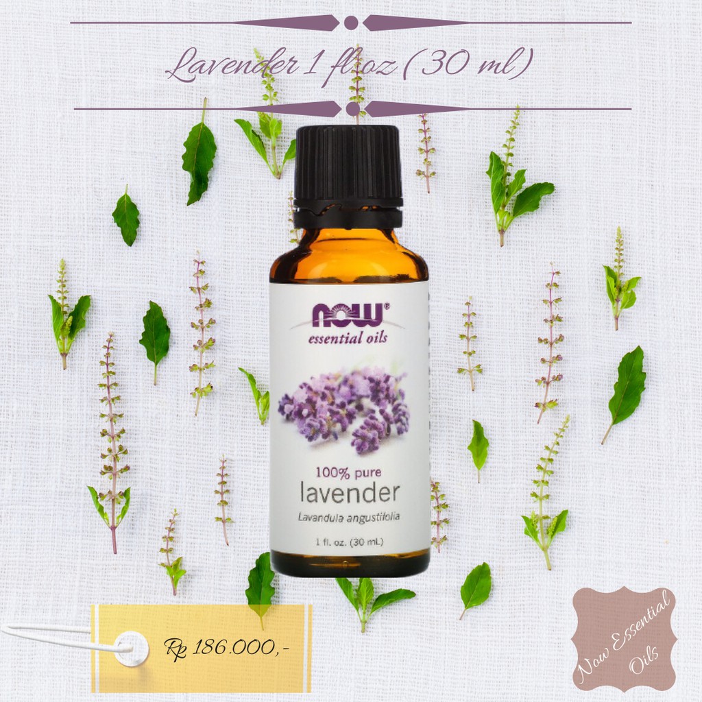 Now Essential Oils, Lavender - 1 fl oz