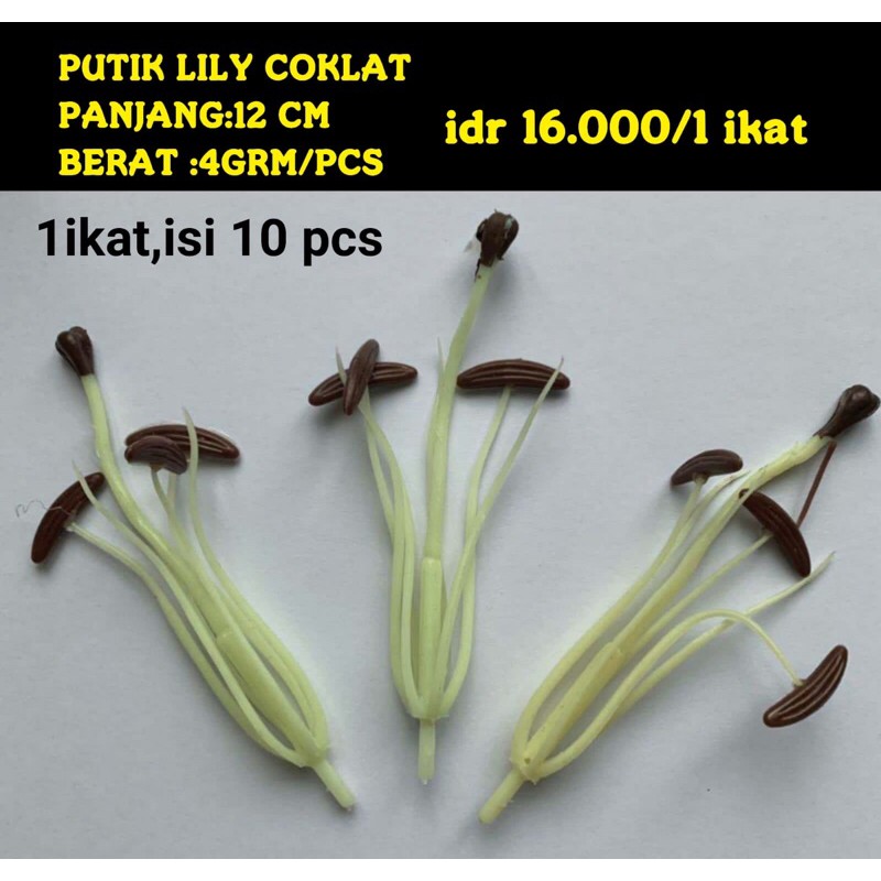 Jual putik bunga lily coklat | Shopee Indonesia