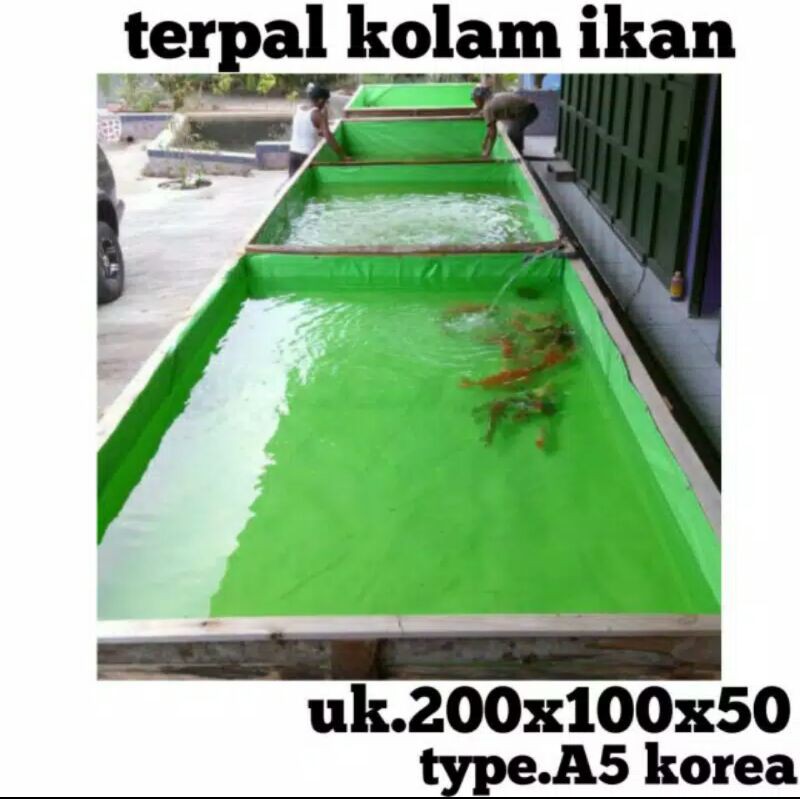 Jual Terpal Kolam Ikan Ukuran 200x100x50 Type A5 Korea Shopee Indonesia