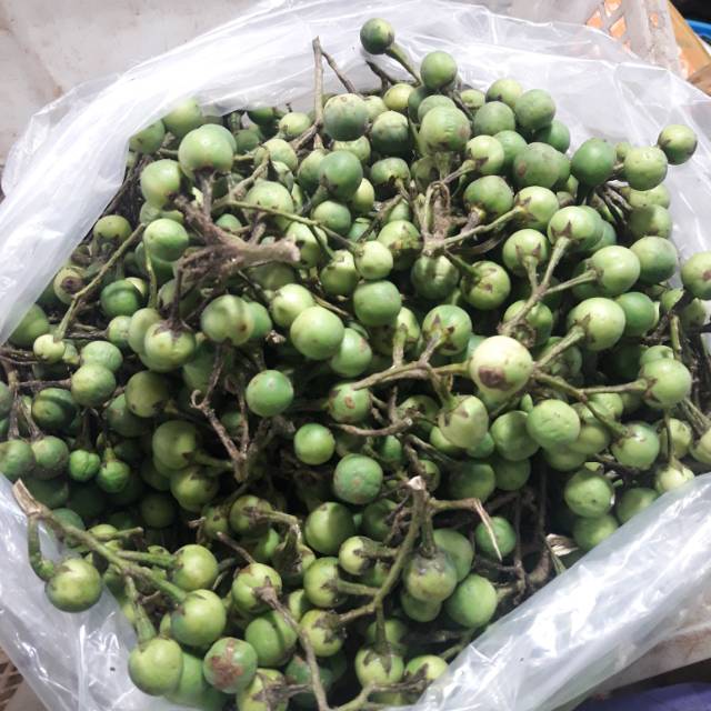 Jual Cempoka-rimbang 1kg | Shopee Indonesia