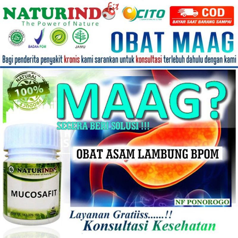 Jual Herbal Obat Asam Lambung Obat Maag Gerd Mucosafit Obat Lambung Herbal Naturindo Fit