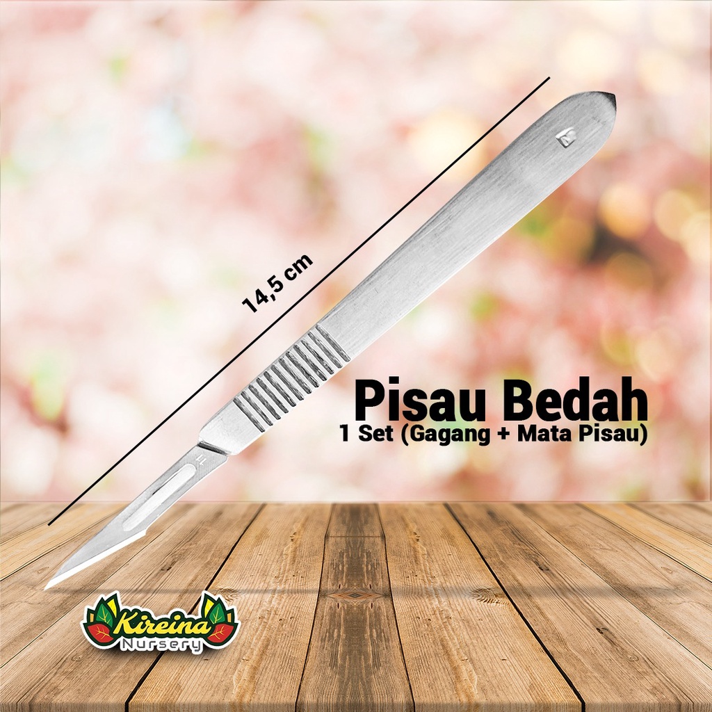 Jual Pisau Bedah Steril untuk Cutting Aglaonema | Shopee Indonesia