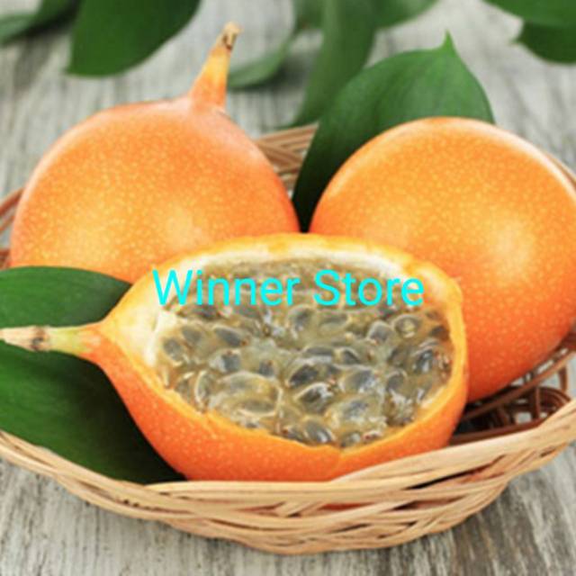 Bibit Benih Buah Markisa Orange (10 Butir)