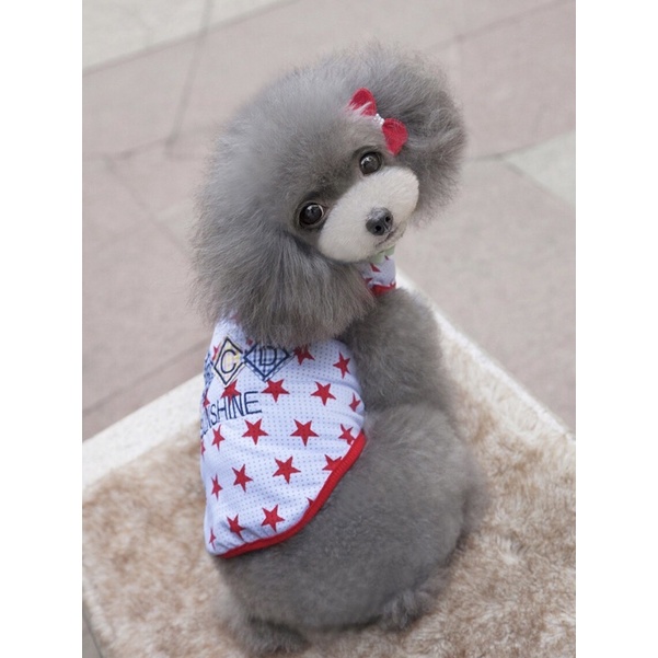 Jual Baju hewan lucu Baju anjing & kucing - ABCD Sunshine | Shopee ...