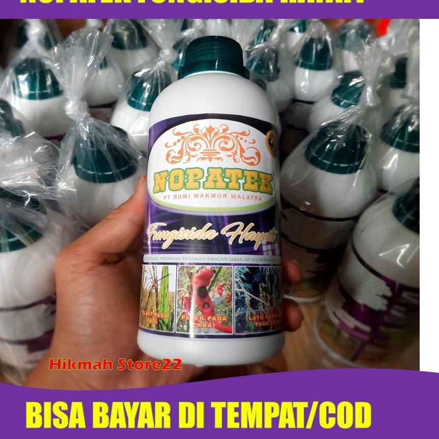 Jual Berkualitas Nopatek Obat Padi Kerdil Daun Kuning Pupuk Padi Daun