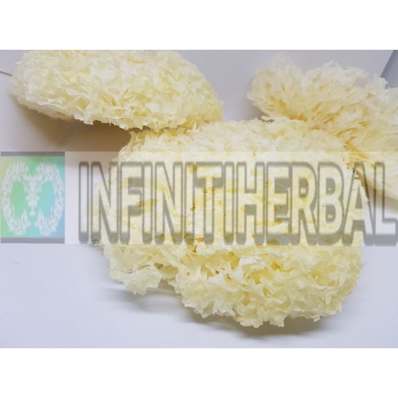 Jual Jamur Putih White Fungus Snow Fungus Warna Putih (Garing) | Shopee