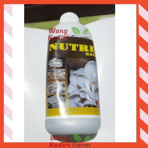 Jual Pupuk Jamur Tiram Nutrisi penyubur Jamur Tiram Kuping Natural