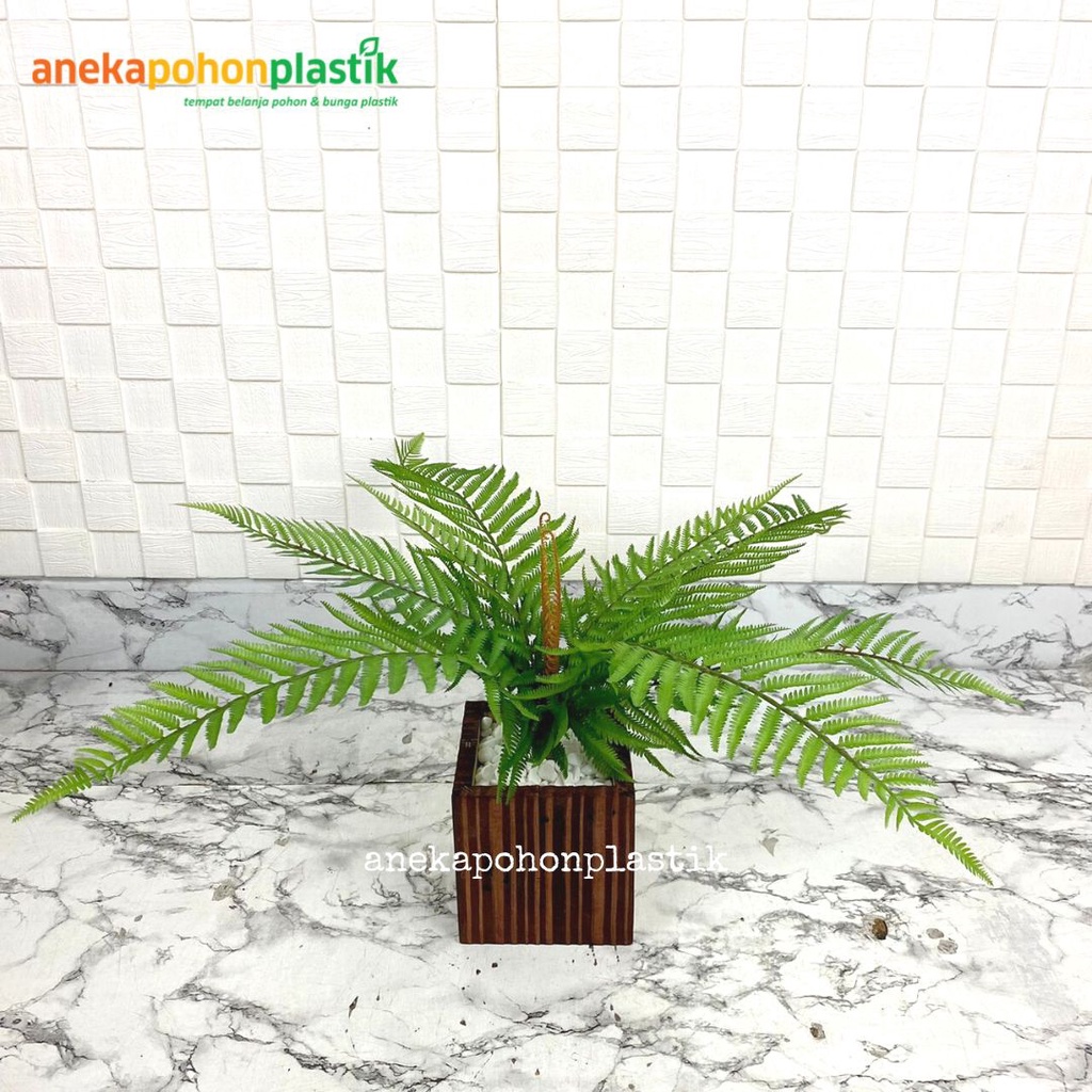 Jual Pohon Daun Pakis Boston Group Latex Artificial Pot Kotak Motif ...