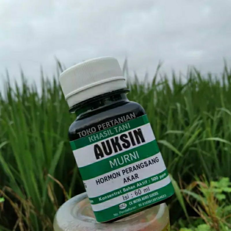 Jual Hormon Perangsang Akar AUKSIN Murni Kemasan 60 Ml | Shopee Indonesia