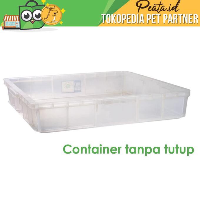 Jual Kandang Kura Torto Tortoise Container Kontainer Tahu Industri ...