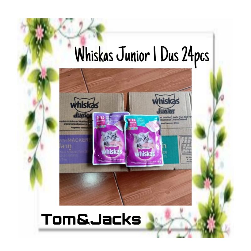 Jual WHISKAS JUNIOR 1 DUS Box 24 Pcs Kitten Makanan Basah Tuna Mackerel