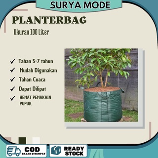 Planter Bag Tabulampot Planter Bag Durian 200 Liter Easy Grow