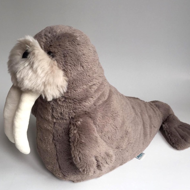 Willie sales walrus jellycat