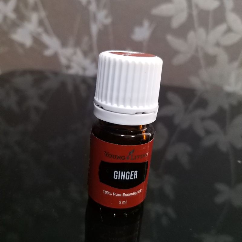 Jual Ginger Young Living Oil 5 ML Shopee Indonesia