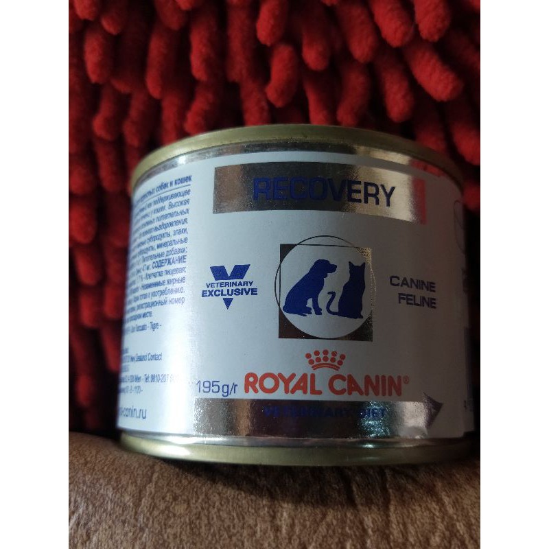 Jual Recovery royal canin