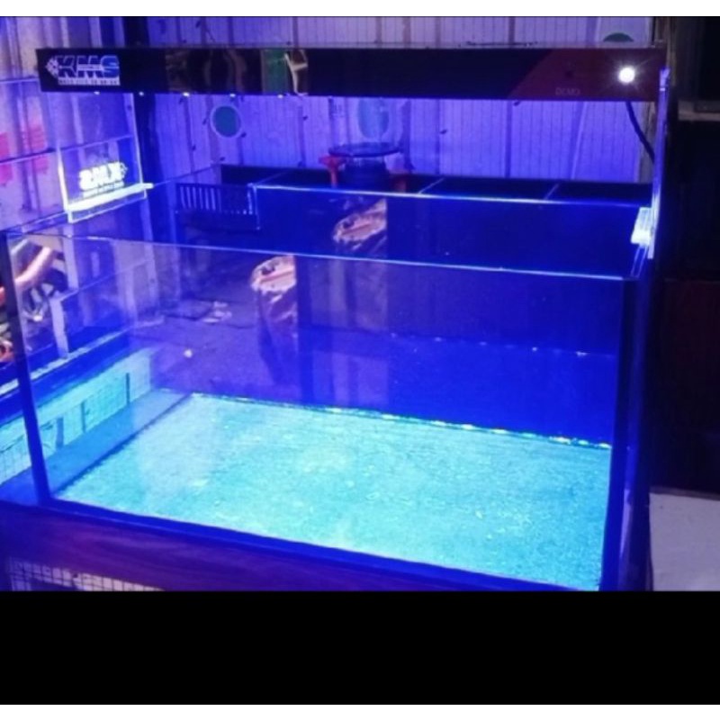 Jual Aquarium laut fullset 70cm Shopee Indonesia