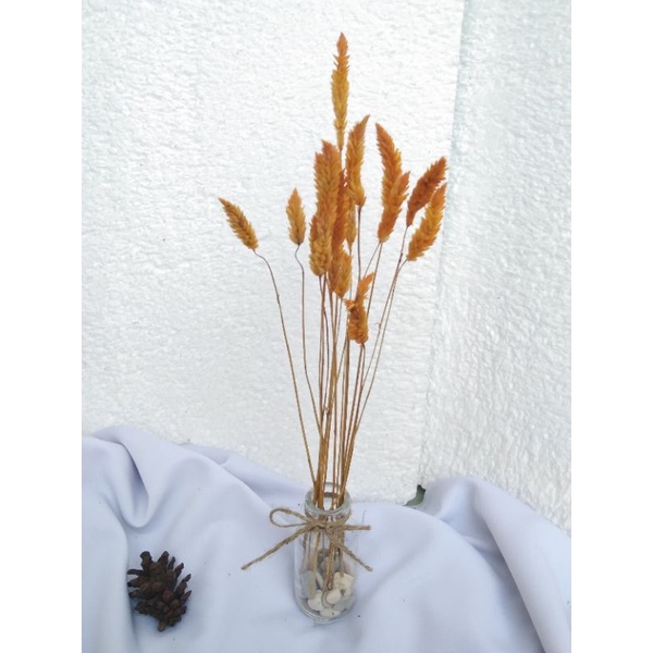 Jual satu set bunga boroco kering orange+ vas tali rami+ batu panca ...