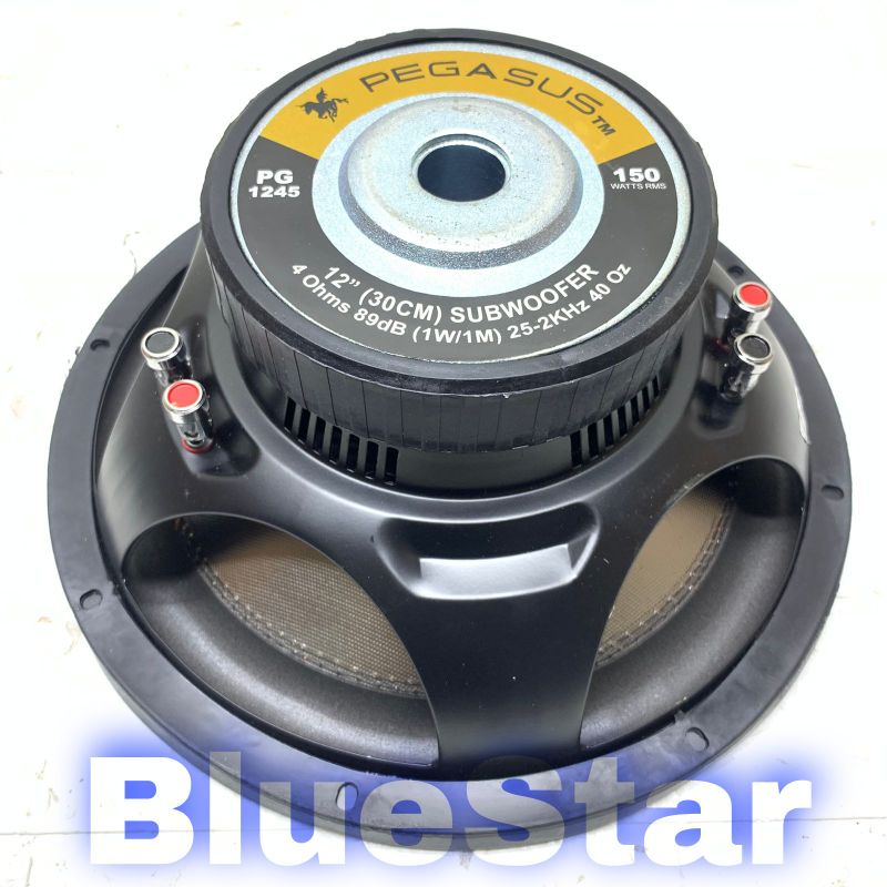 Speaker sub hot sale 12