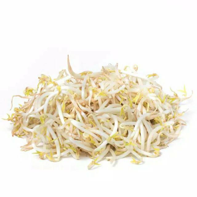 Jual Toge Lokal (500 gram) | Shopee Indonesia