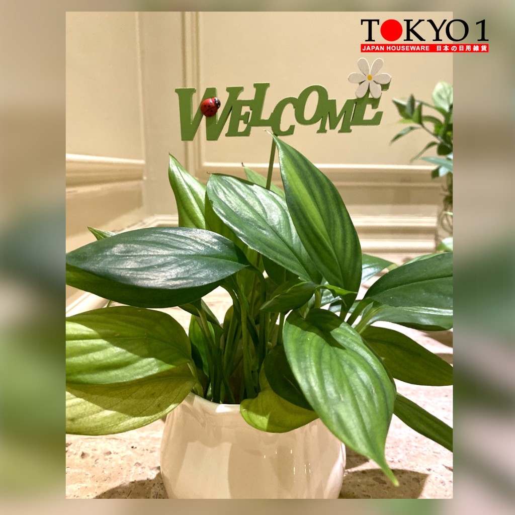 Jual Tokyo 1 Welcome Stick Dekorasi Stik 405113 | Shopee Indonesia